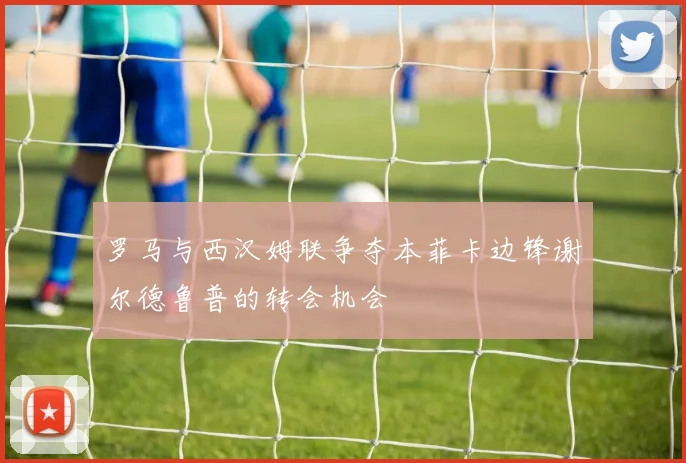 罗马与西汉姆联争夺本菲卡边锋谢尔德鲁普的转会机会